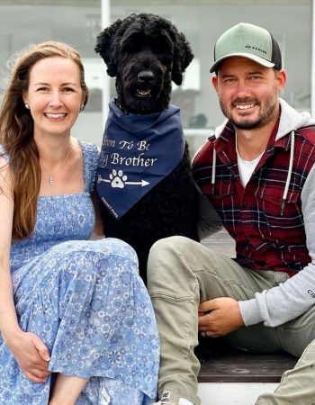 Labradoodle announcing "Soon to be big brother" with navy blue dog bandana for announcement