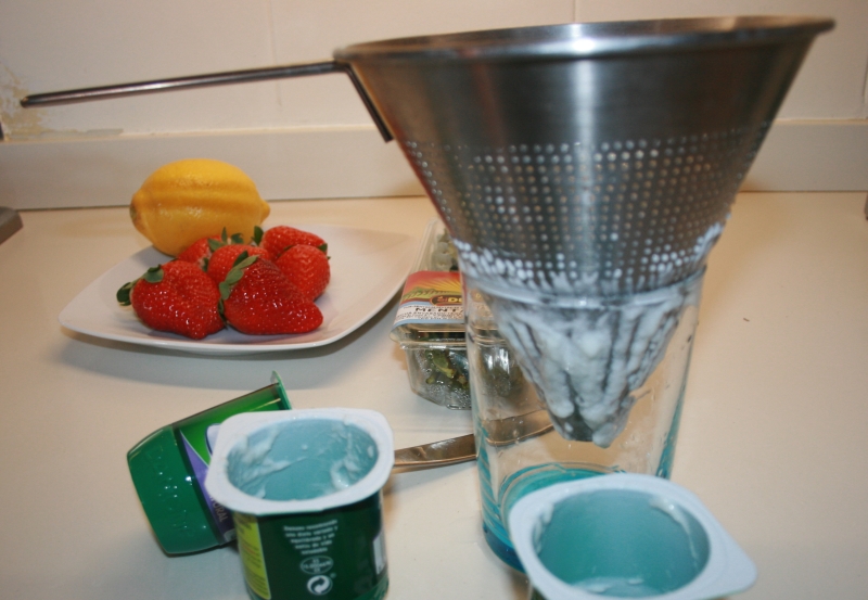 01. Yogures para crema de yogur con frutos rojos en blog de recetas fitness